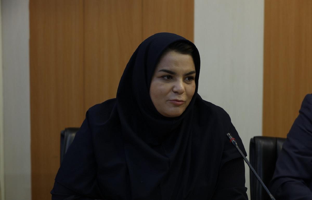 بدون اجرای قانون تعرفه گذاری، کارانه پرستاران  نصف امروز بود