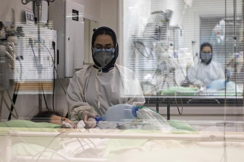 پیشرفت رشته پرستاری در ایران بعد از انقلاب، بی نظیر است