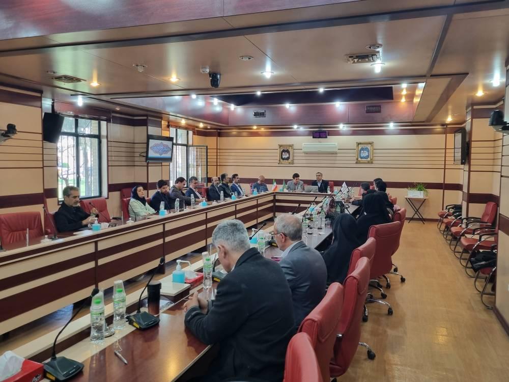 نشست هماندیشی شورای هماهنگی پرستاری در قزوین برگزار شد