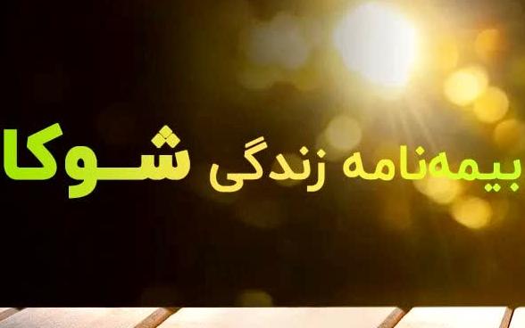 تشریح جزئیات طرح بیمه زندگی شوکا/حق بیمه مسئولیت و حق عضویت نظام پرستاری رایگان متقاضیان