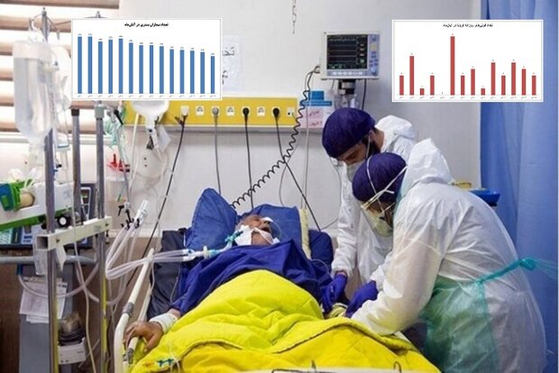 یکسال است که کادر درمان در خط مقدم مقابله با کرونا، شب و روز ندارد